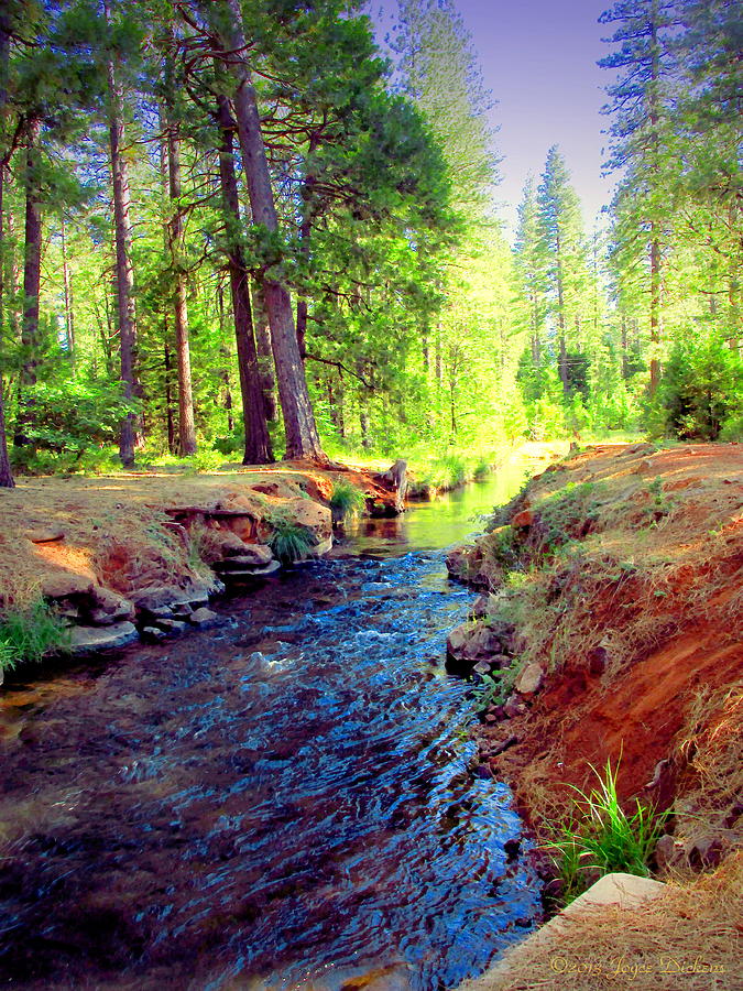 The Creek Leading Into The enchanted Forest Watercolor Photograph by Joyce Dickens
