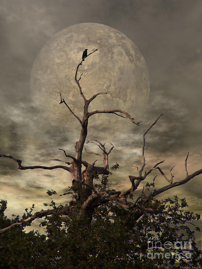 The Crow Tree Digital Art by YoursByShores Isabella Shores