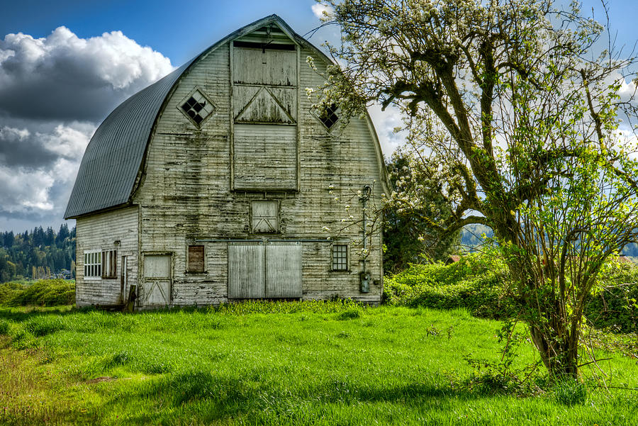 The Crying Barn Photograph by Spencer McDonald