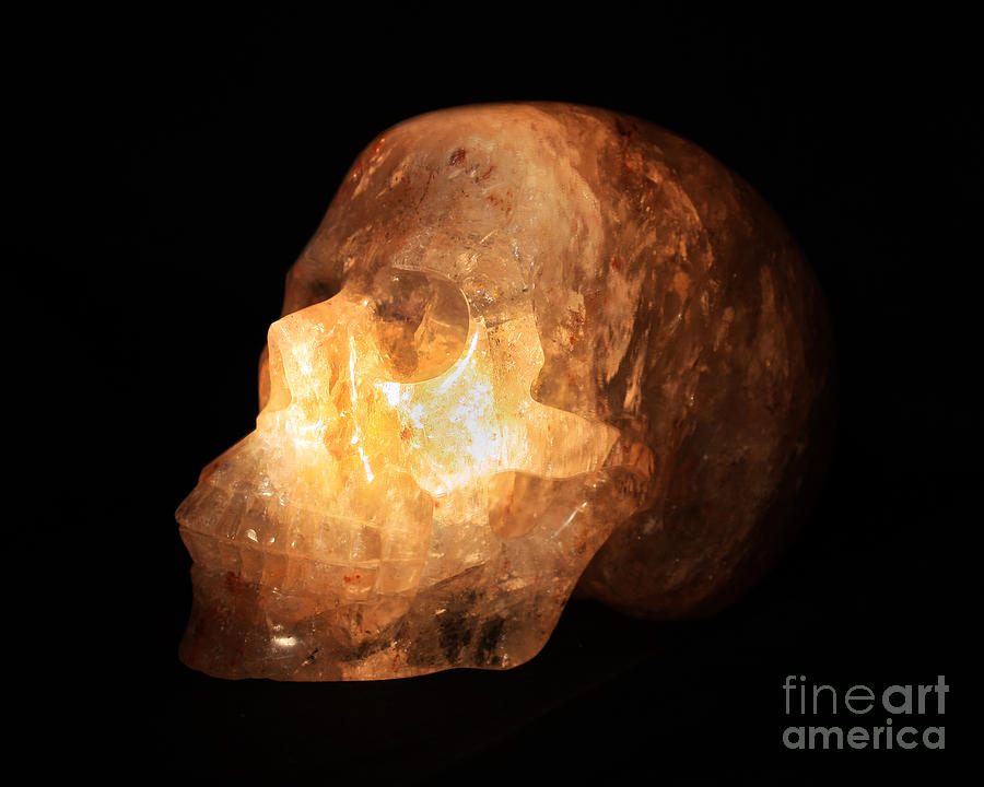 The Crystal Skull Photograph by Terri Waters