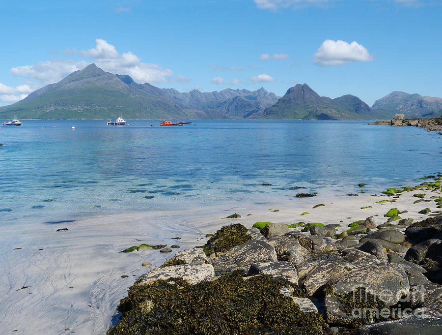 The Cuillins - Isle of Skye Photograph by Phil Banks