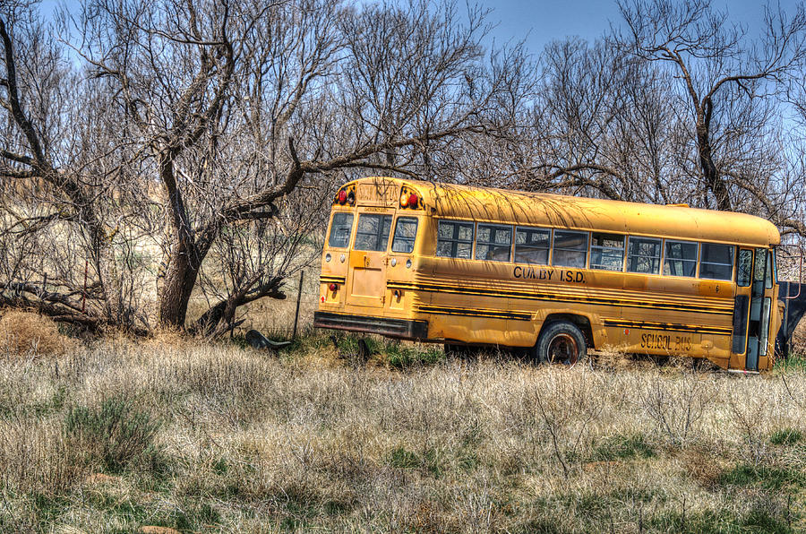 The Cumby Bus Photograph by Lisa Moore - Fine Art America