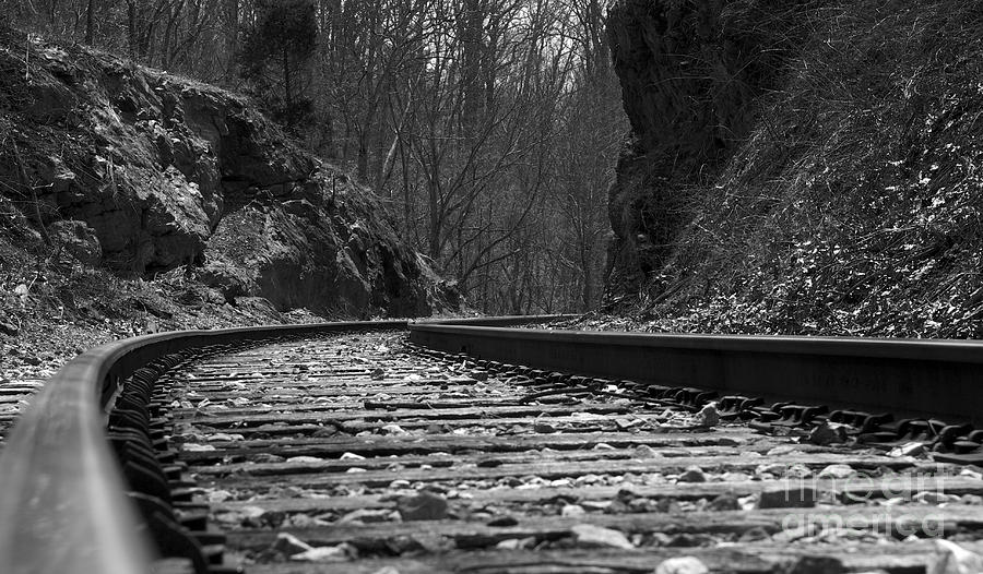 The Curve BW Photograph by Mark Dodd