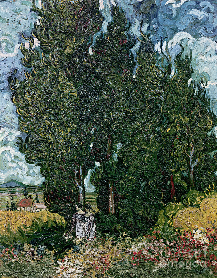 The cypresses Painting by Vincent van Gogh