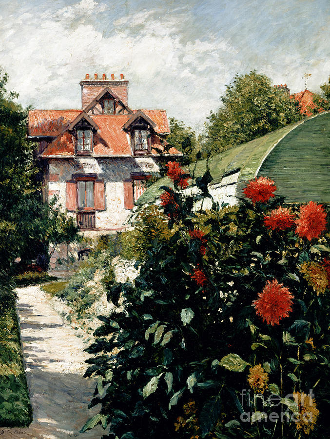 The Dahlias garden at Petit Gennevilliers Painting by Gustave Caillebotte
