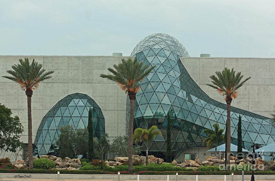 The Dali Museum Photograph by Terri Mills