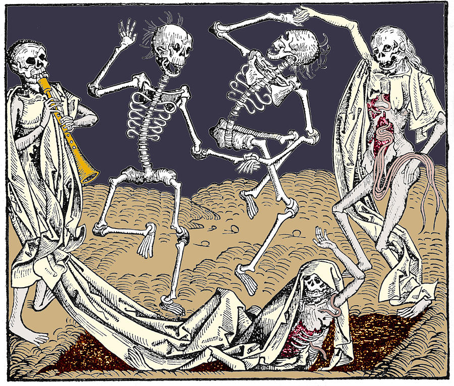 The Dance Of Death Photograph by Sheila Terry/science Photo Library