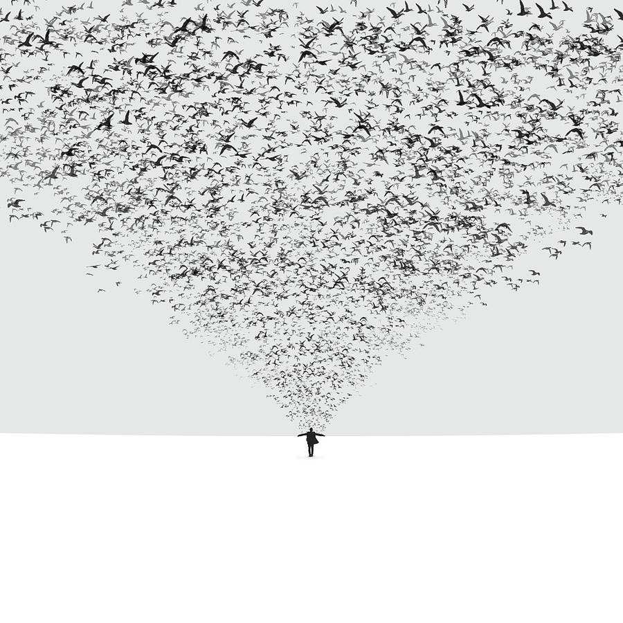Bird Photograph - The Dark Half by Hossein Zare