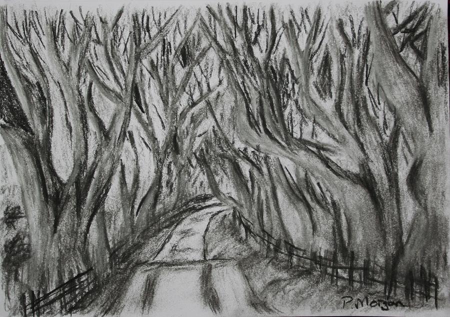 Tree Painting - The Dark Hedges by Paul Morgan