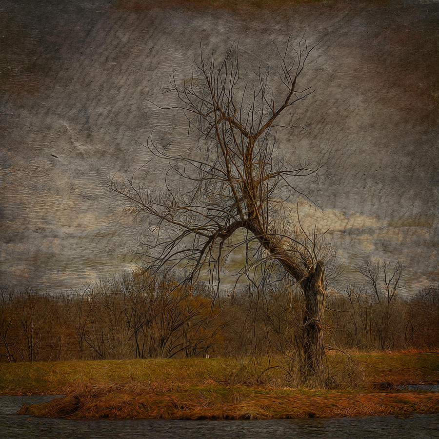 The Dark Wicked Tree Photograph by Bill and Linda Tiepelman