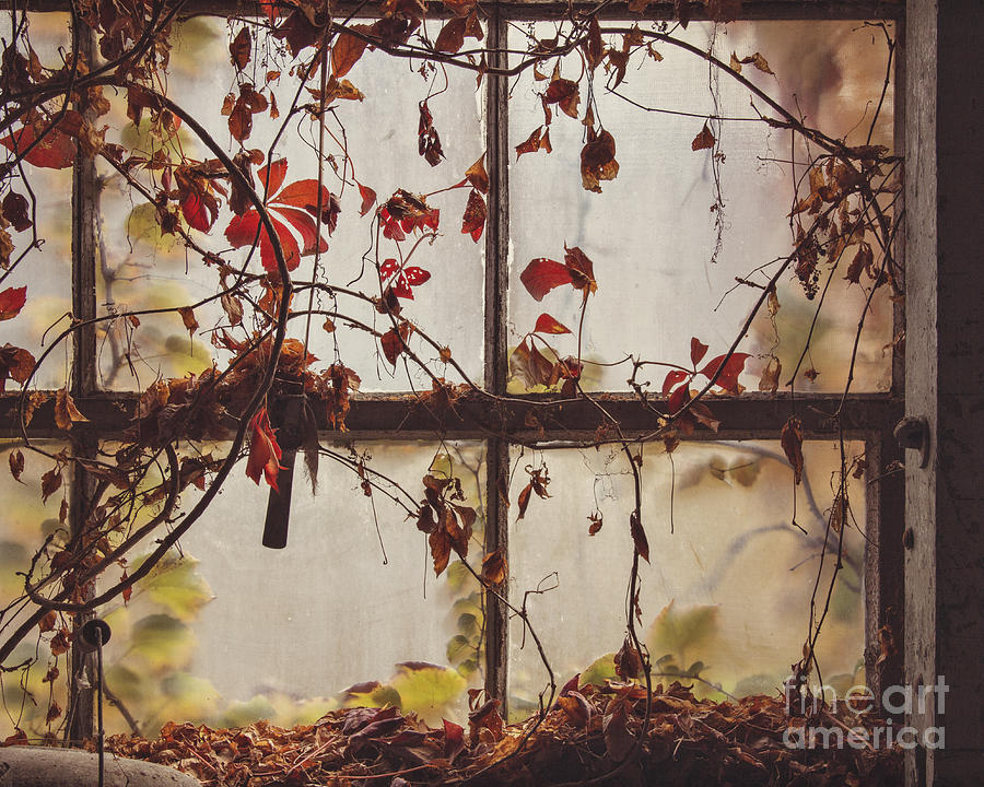 The Dark Window Photograph by Jillian Audrey Photography