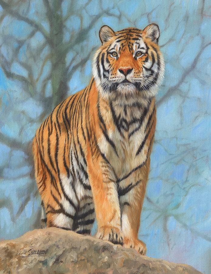 Wildlife Painting - The Dartmoor Tiger by David Stribbling