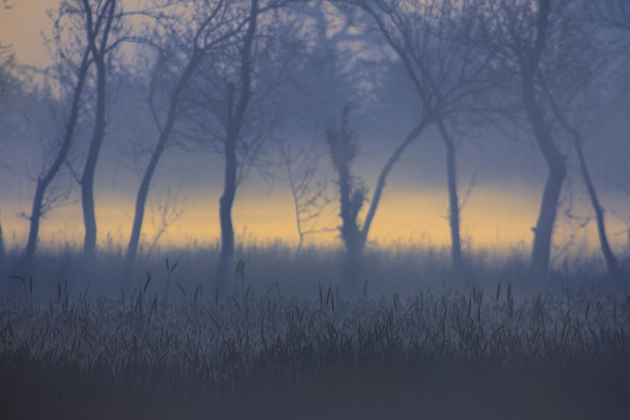 Landscape Photograph - The Dawn by Razaq Vance