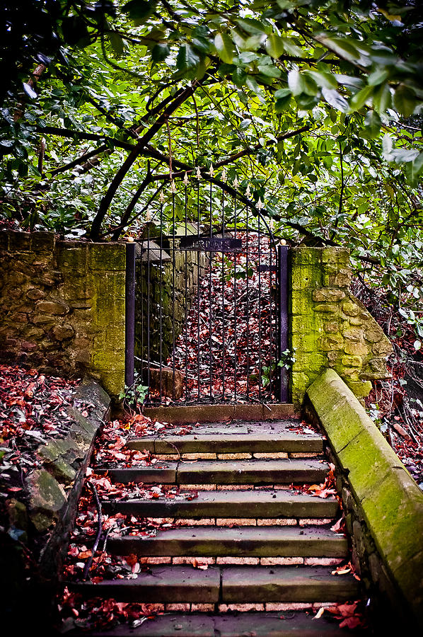 The Deans Steps Photograph by Mark Llewellyn