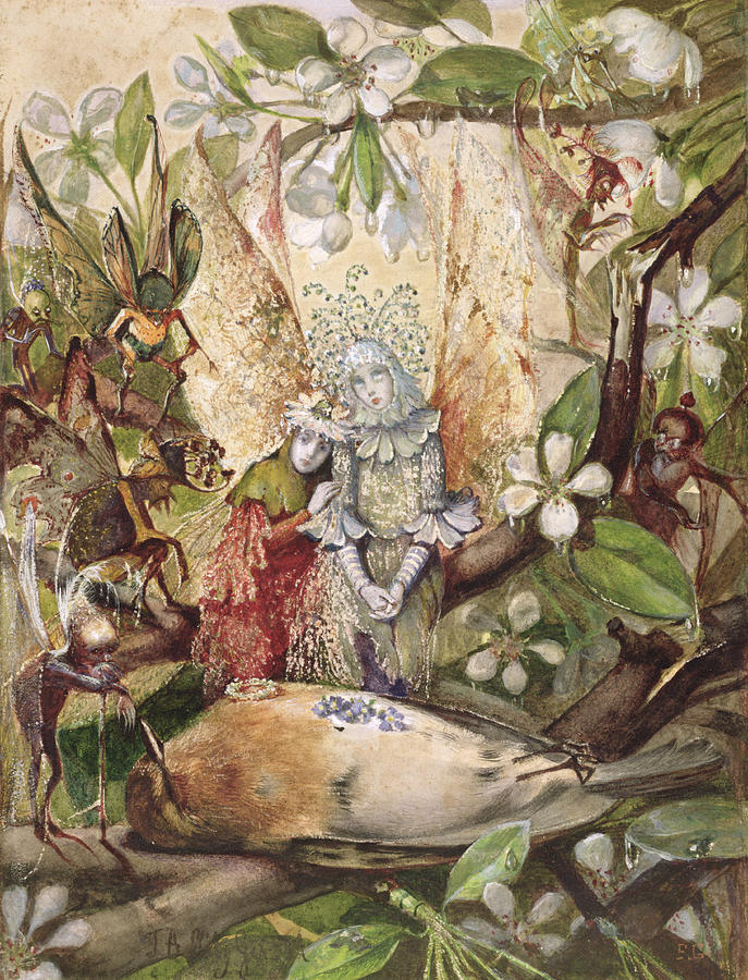 Fairy Drawing - The Death Of Cock Robin by John Anster Fitzgerald