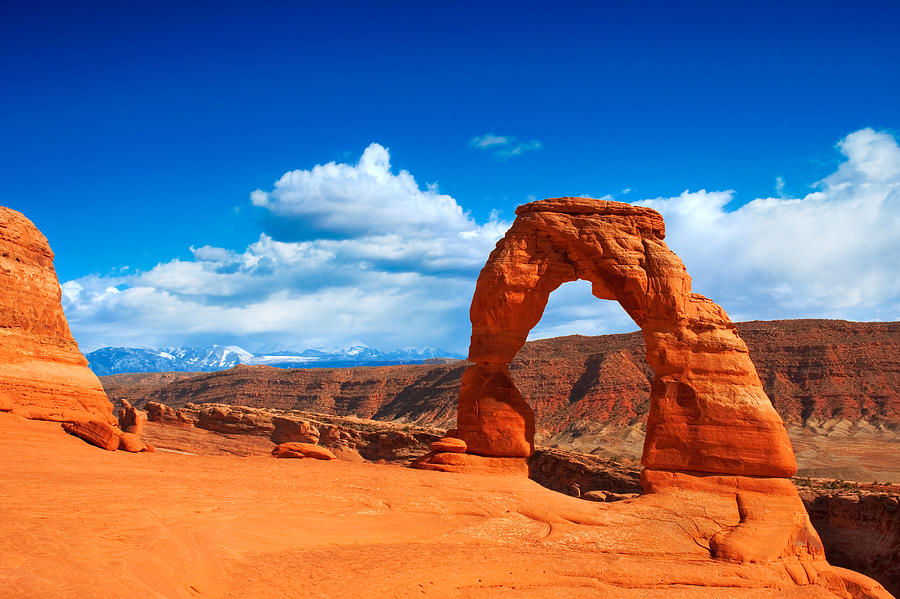 The Delicate Arch Photograph by Darren Bradley