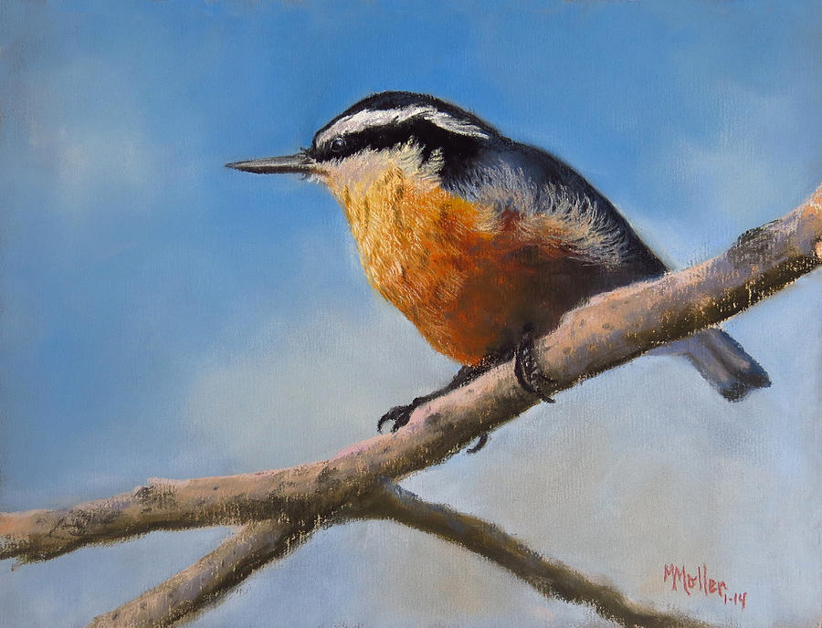 The Demure Red-breasted Nuthatch Pastel by Marcus Moller