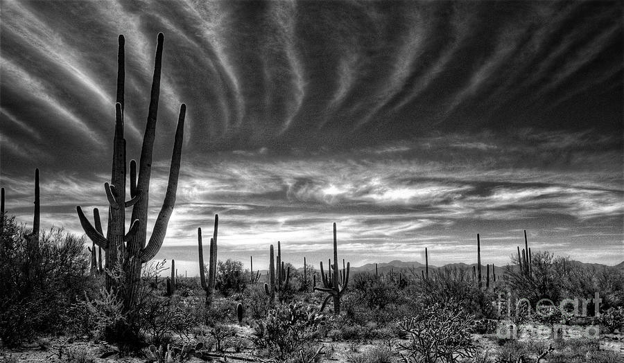 The Desert in Black and White Photograph by Saija Lehtonen