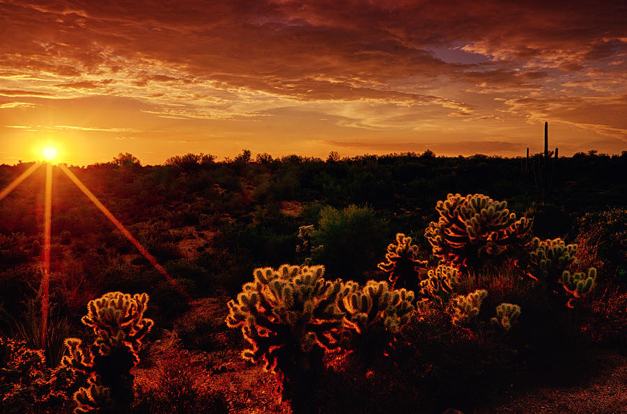 Sunset Photograph - The Desert Magic Hour  by Saija Lehtonen