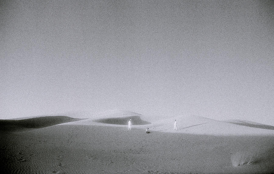 The Desert Photograph by Shaun Higson