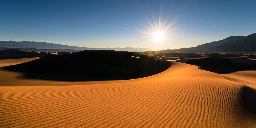 The Desert Sun Photograph by Dan Mihai