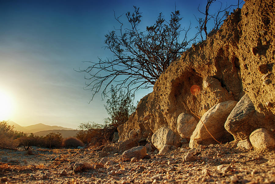 The Desert Wash Photograph by Michael L Kaser