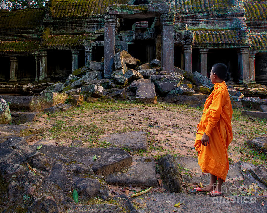 Fall Photograph - The destruction of Ta Prohm by Pete Reynolds