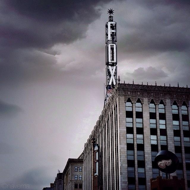 The Detroit Fox Photograph by Natasha Marco