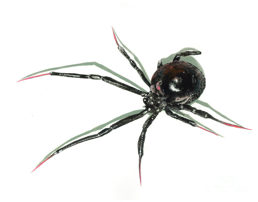 Spider Painting - The Devil  Wears Pink Toe Nails. by Richard Brooks