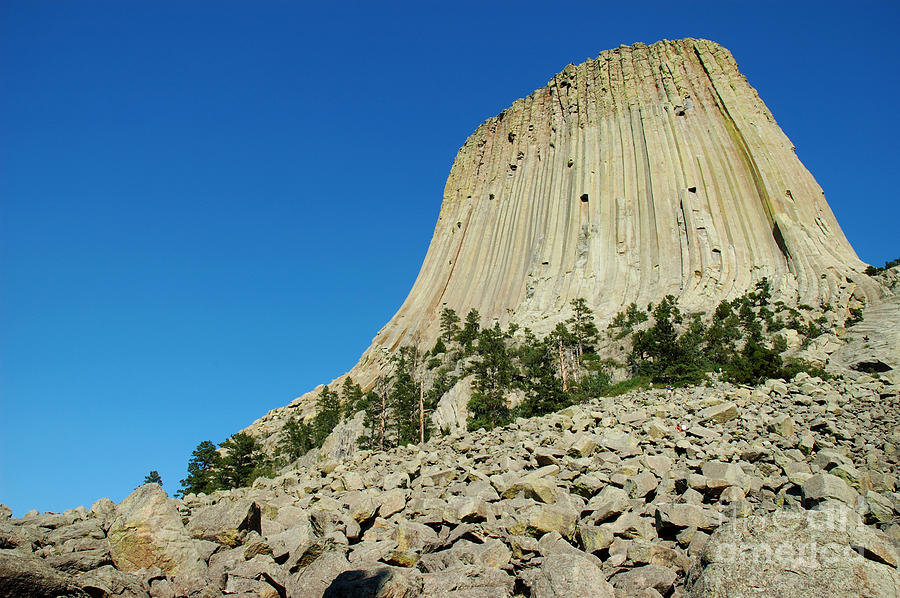 The Devils Tower Photograph by Micah May