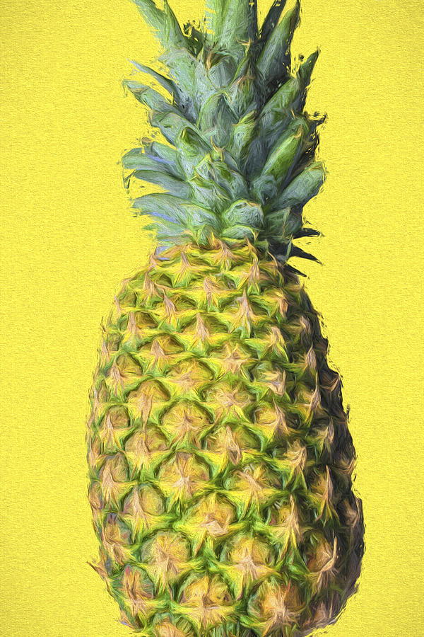 The Digitally Painted Pineapple Photograph by David Haskett II