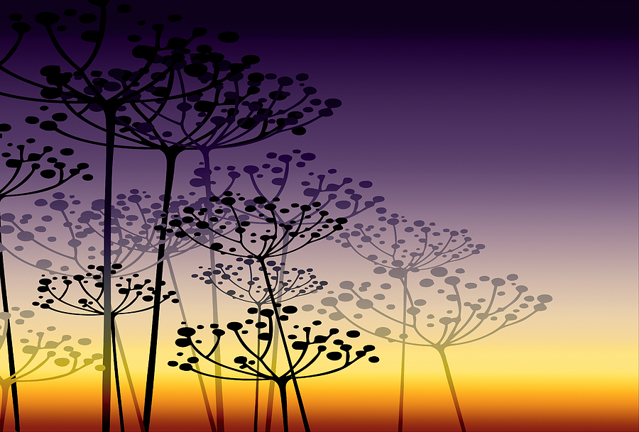 Sunset Mixed Media - The Dill 3 Version 5 by Angelina Tamez