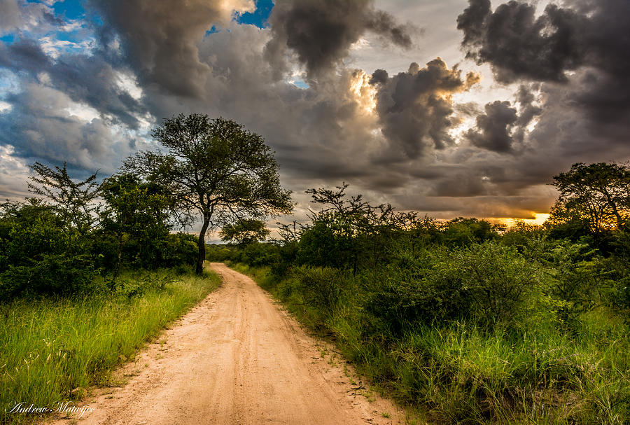The Dirt Road Photograph by Andrew Matwijec