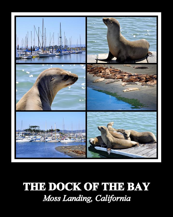 The Dock of the Bay Photograph by AJ  Schibig