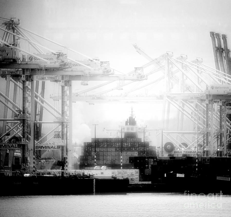 The Docks Photograph by Newel Hunter