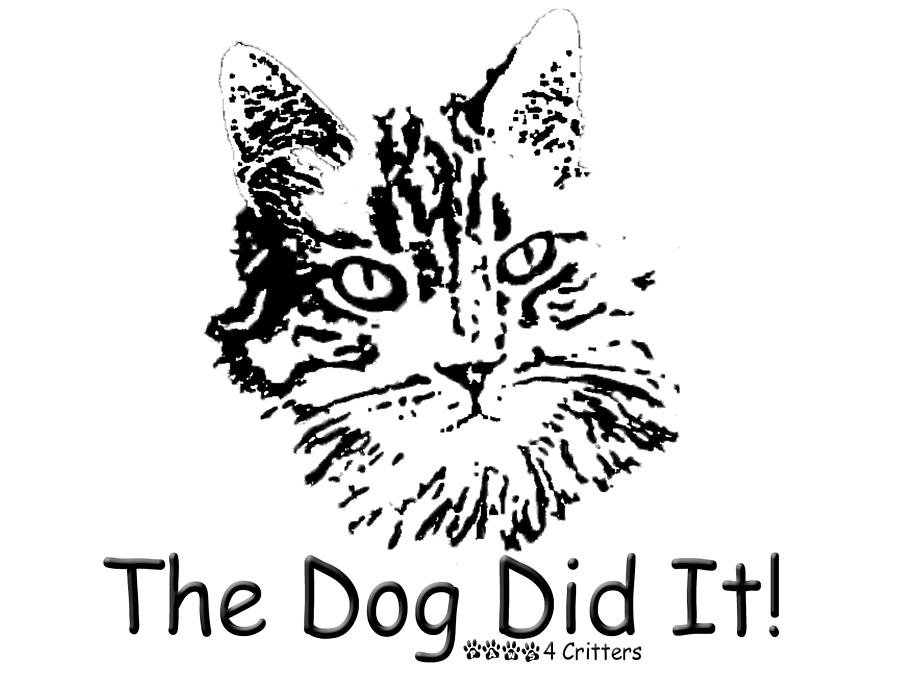 Cat Photograph - The Dog Did It by Robyn Stacey