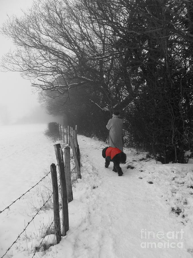 The Dog in the Red Coat Photograph by Vicki Spindler