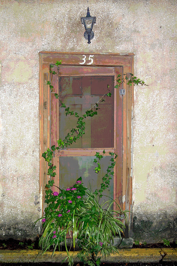 Flower Photograph - The Door at 35 Spanish Street by Rebecca Korpita