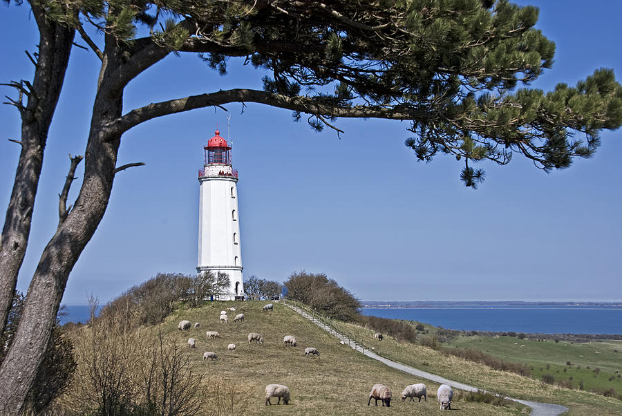 The Dornbusch Lighthouse Photograph
