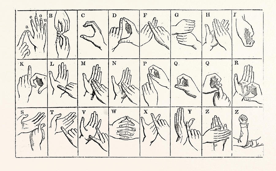 Vintage Drawing - The Double-handed Alphabet by English School