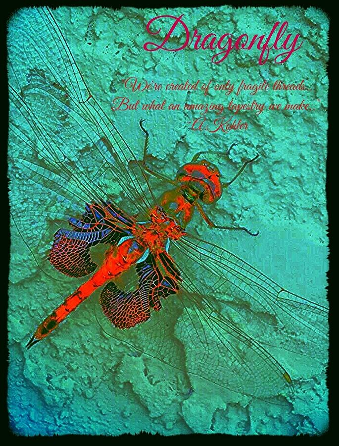 The Dragonfly Photograph