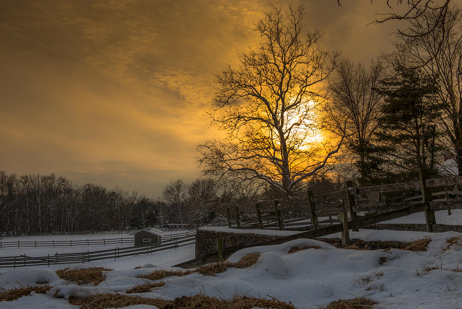 Winter Photograph - The Dream by Scott Hafer