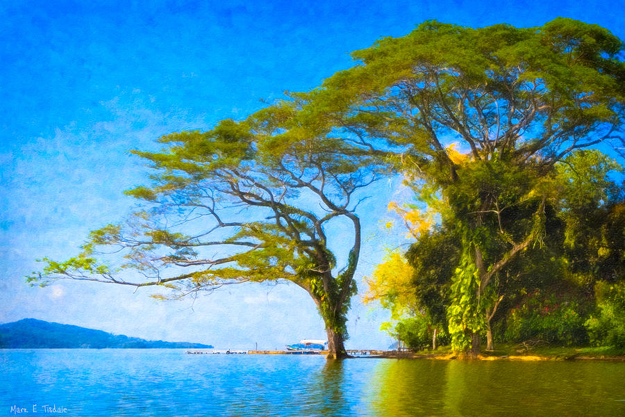 The Dream Tree - Lake Nicaragua Landscape Photograph by Mark Tisdale