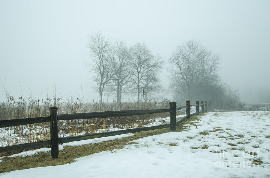The Dregs of Winter Photograph by Deborah Smolinske