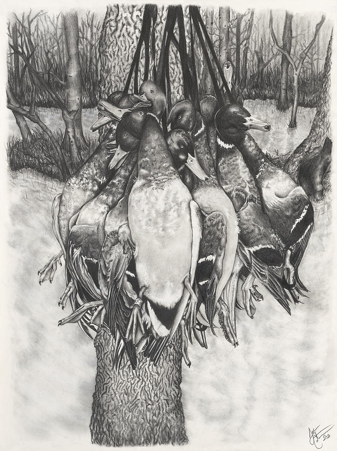 Black And White Drawing - The Duck Hunt by Jon Cotroneo