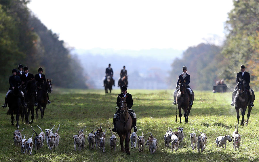 The Duke Of Beauforts Hunt Holds The Photograph by Matt Cardy