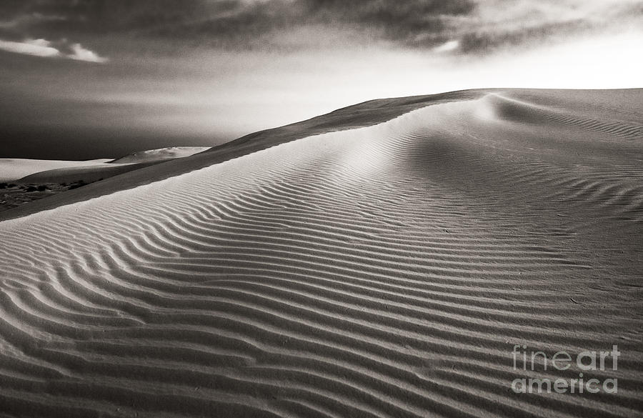 The Dune Photograph by Sherry Davis