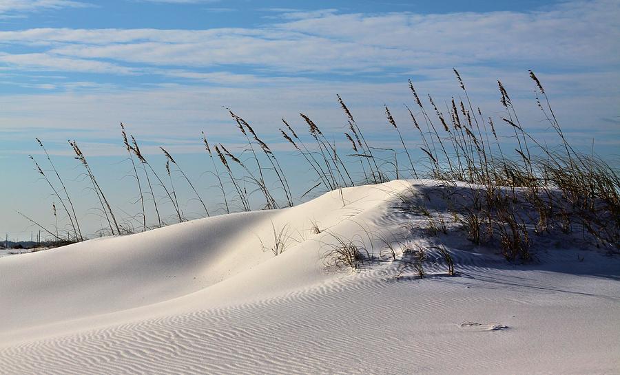 Beach Photograph - The Dunes of Destin by JC Findley