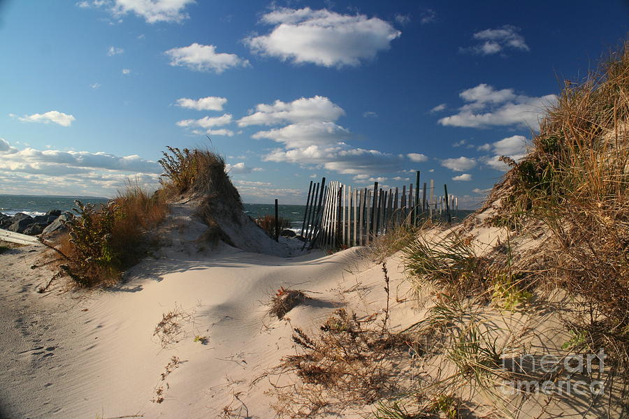 The Dunes on the bay in Montauk Photograph by Deborah A Andreas