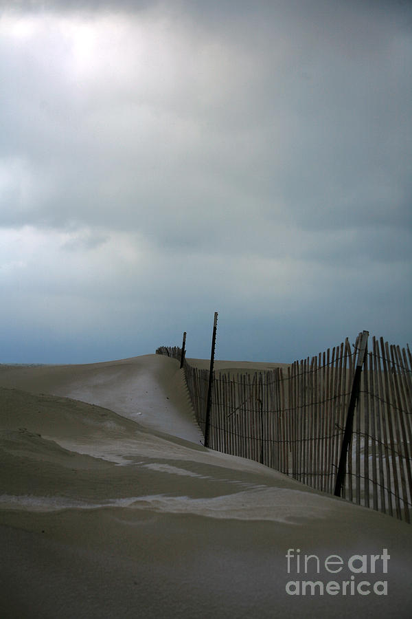 The Dunes Photograph by Timothy Johnson